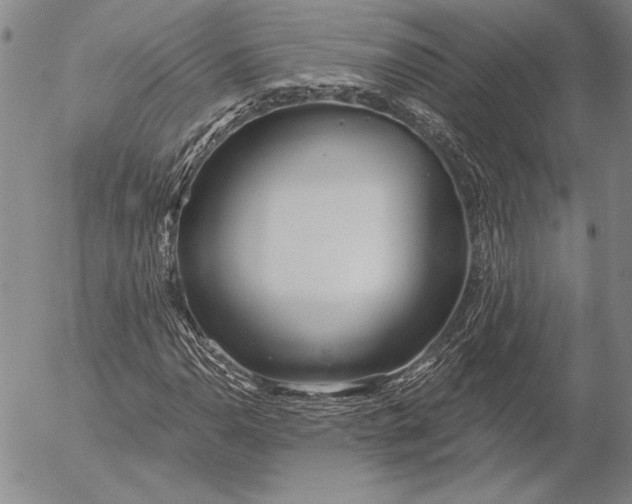 X0000053001110200507291635