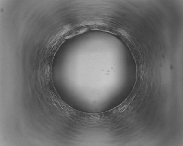 X0000053001111200507291635