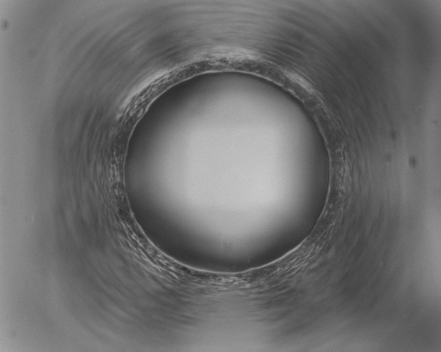 X0000053001112200507291635