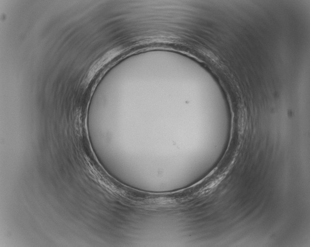 X0000053001113200507291635