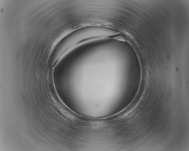 X0000053001114200507291635