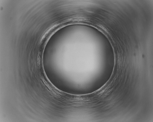 X0000053001115200507291635