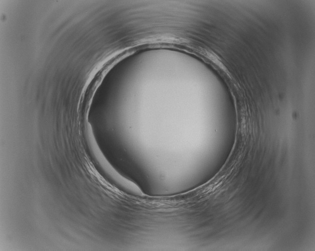 X0000053001116200507291635