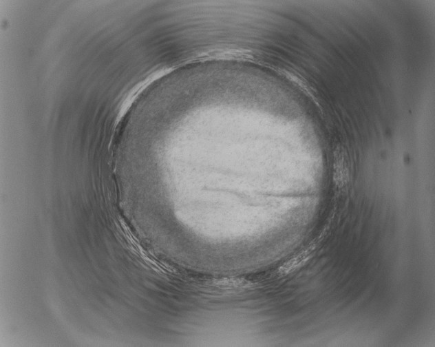 X0000053001117200507291635