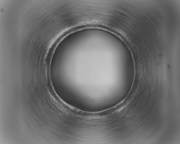 X0000053001118200507291635