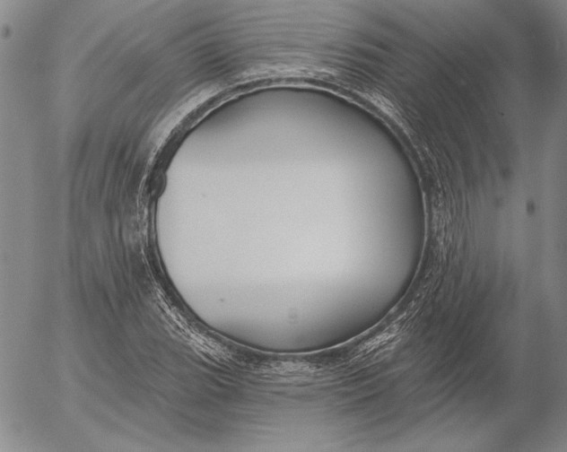 X0000053001119200507291635