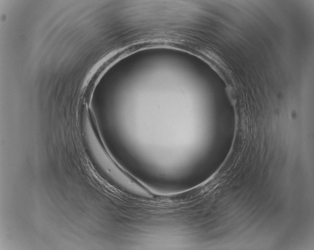 X0000053001120200507291635