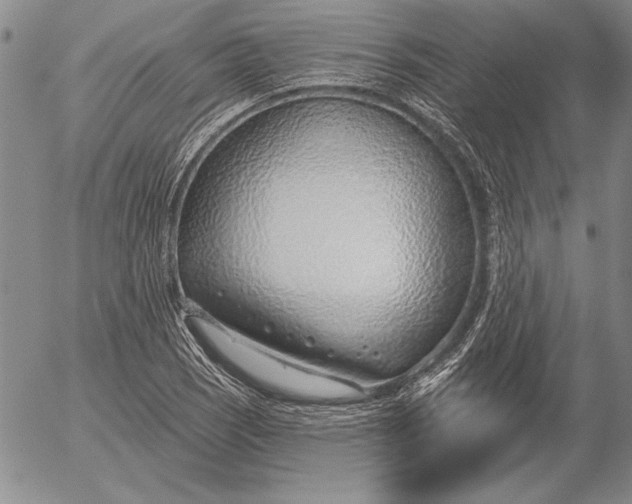 X0000053001121200507291635