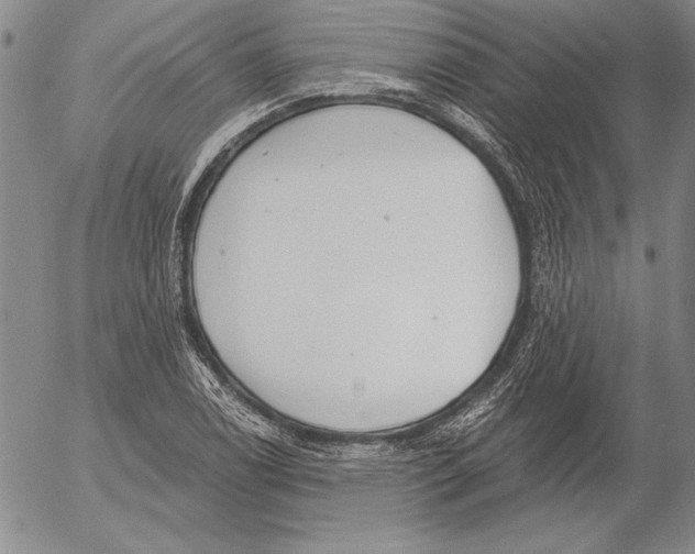 X0000053001122200507291635