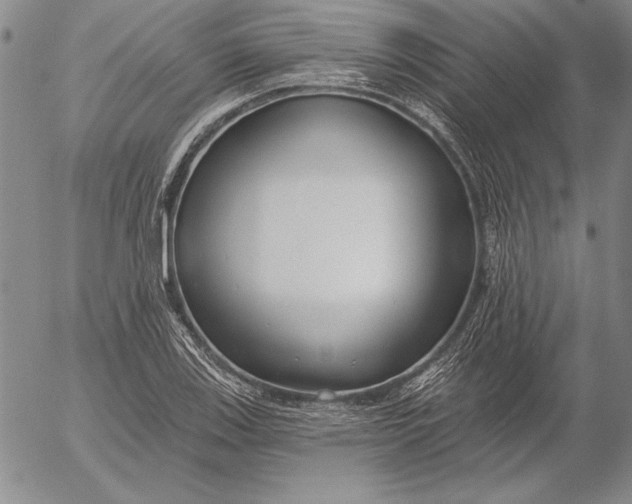 X0000053001123200507291635