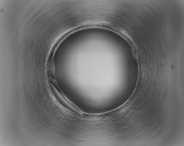 X0000053001124200507291635