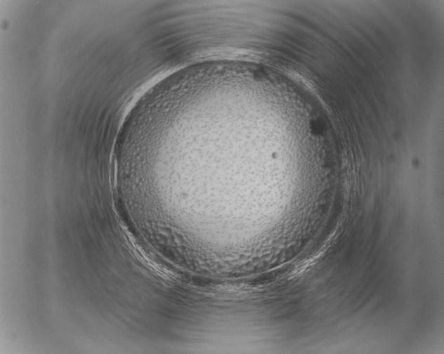 X0000053001125200507291635