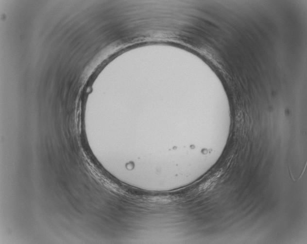 X0000053001126200507291635