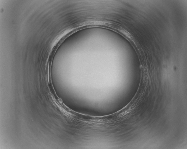 X0000053001127200507291635