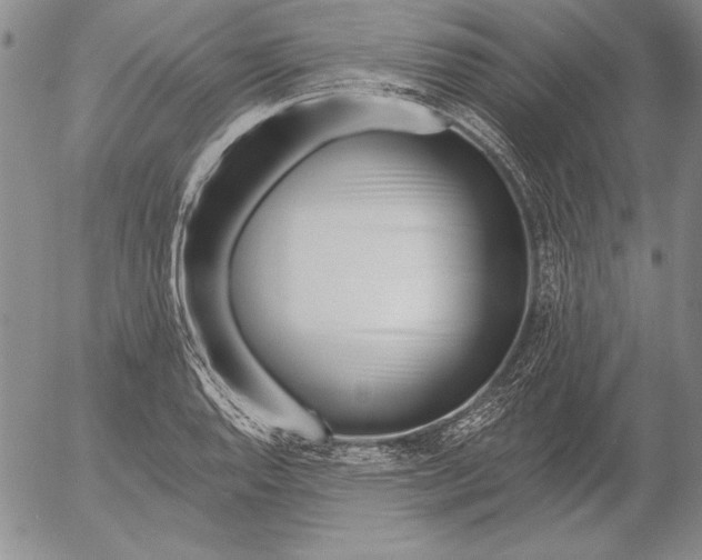 X0000053001128200507291635