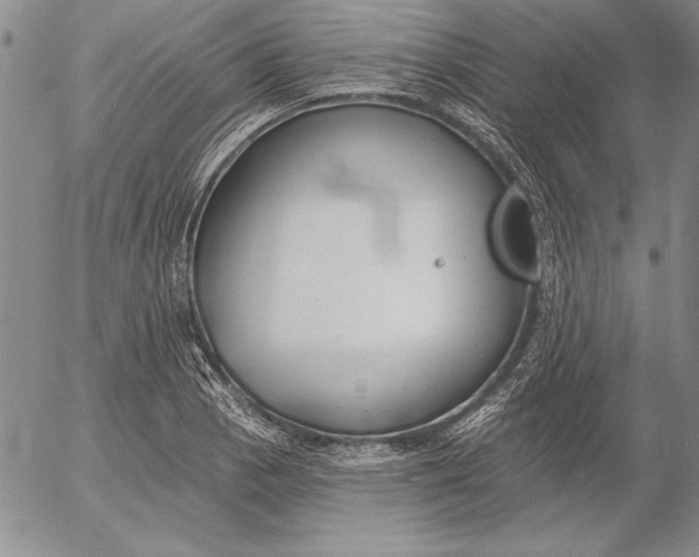 X0000053001129200507291635