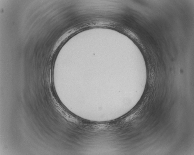 X0000053001130200507291635