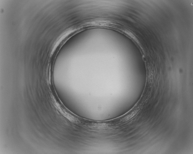 X0000053001131200507291635