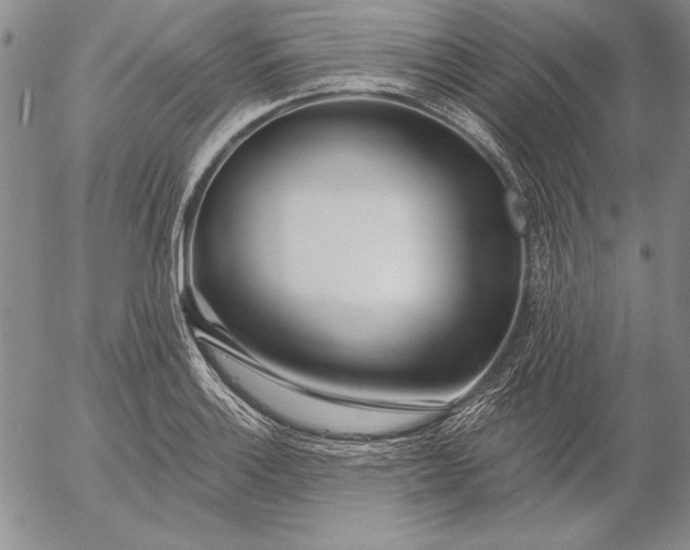 X0000053001132200507291635