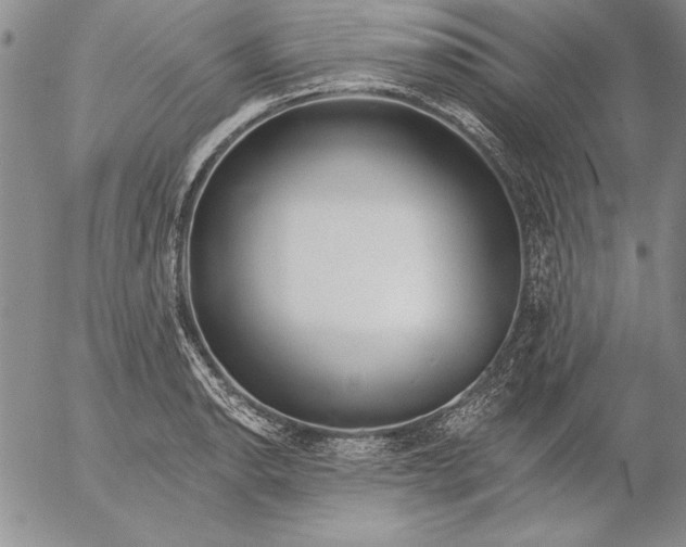 X0000053001134200507291636