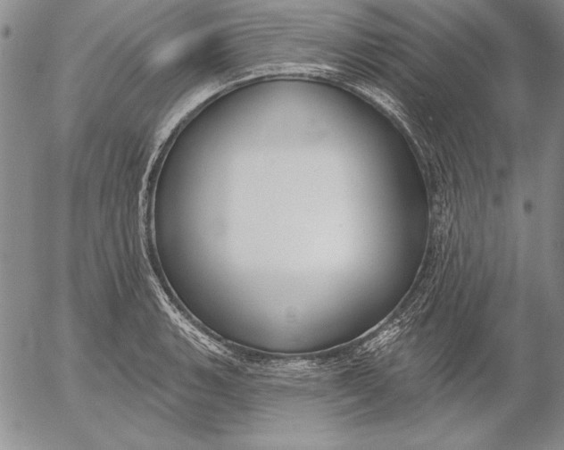 X0000053001135200507291636