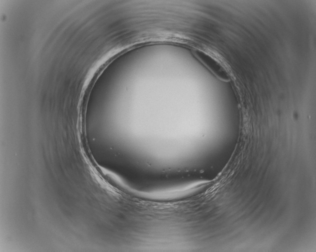 X0000053001136200507291636