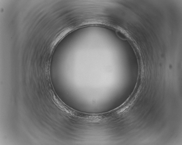 X0000053001137200507291636