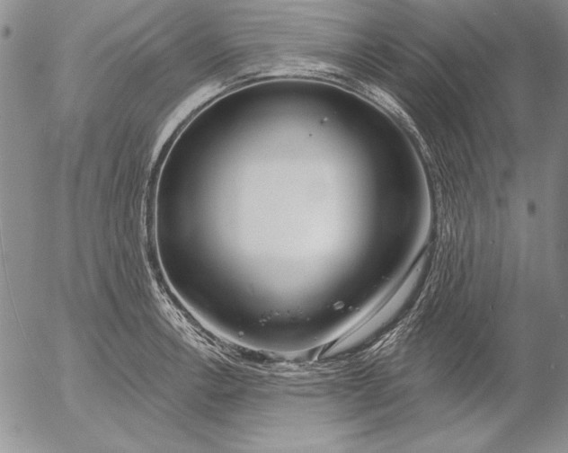 X0000053001138200507291636