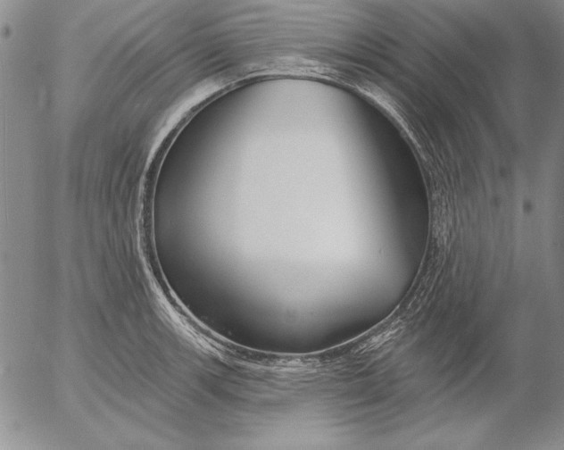 X0000053001139200507291636