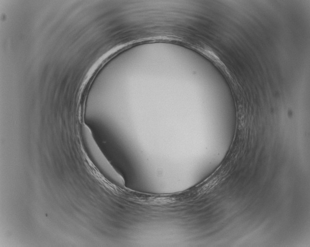 X0000053001140200507291636