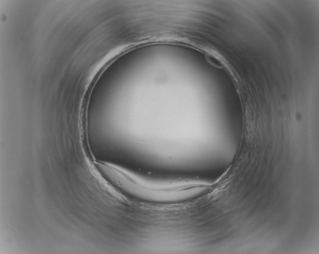 X0000053001142200507291636