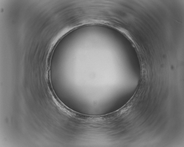 X0000053001143200507291636