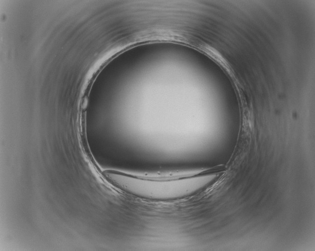 X0000053001144200507291636