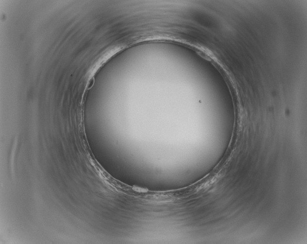 X0000053001145200507291636