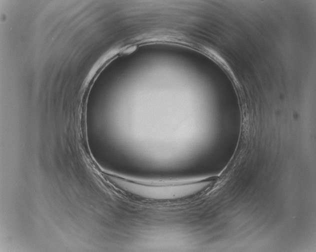 X0000053001146200507291636