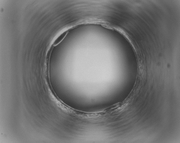 X0000053001147200507291636