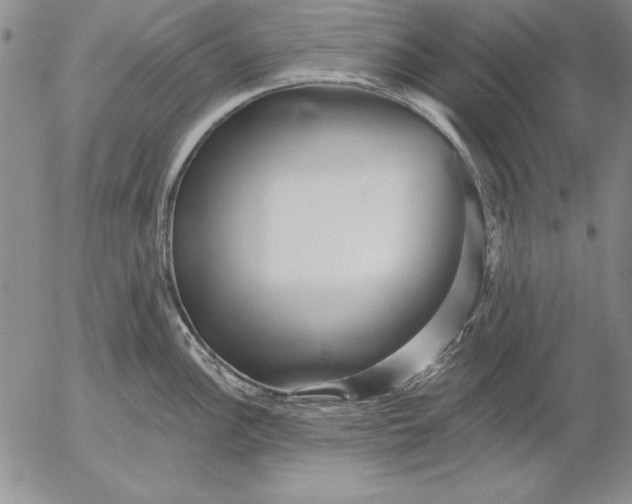 X0000053001148200507291636