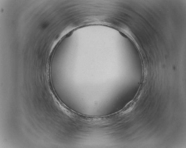 X0000053001149200507291636