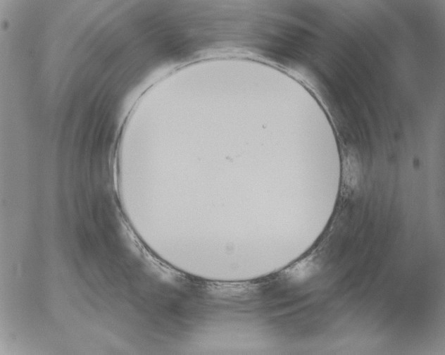 X0000053001150200507291636