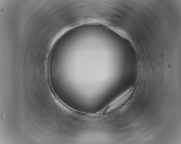 X0000053001151200507291636