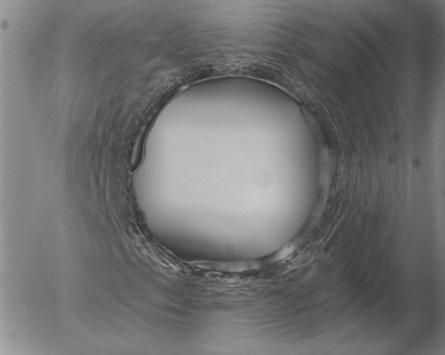 X0000053001153200507291635