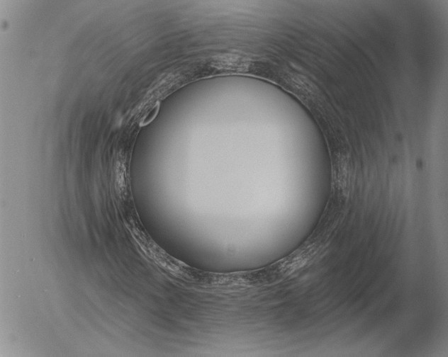 X0000053001154200507291635