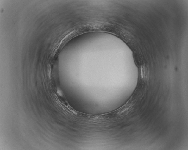 X0000053001155200507291635