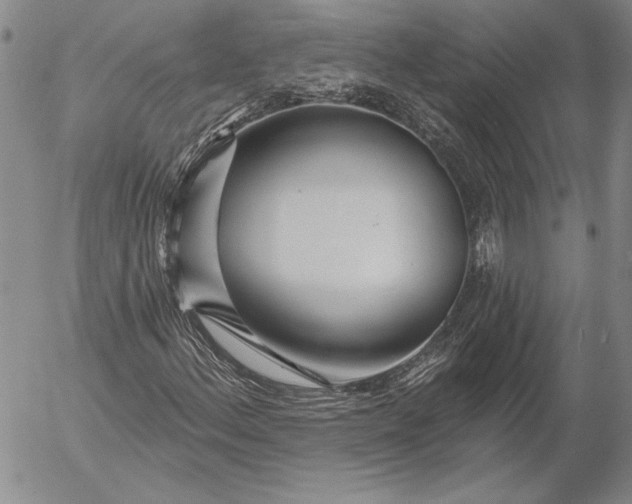 X0000053001156200507291635