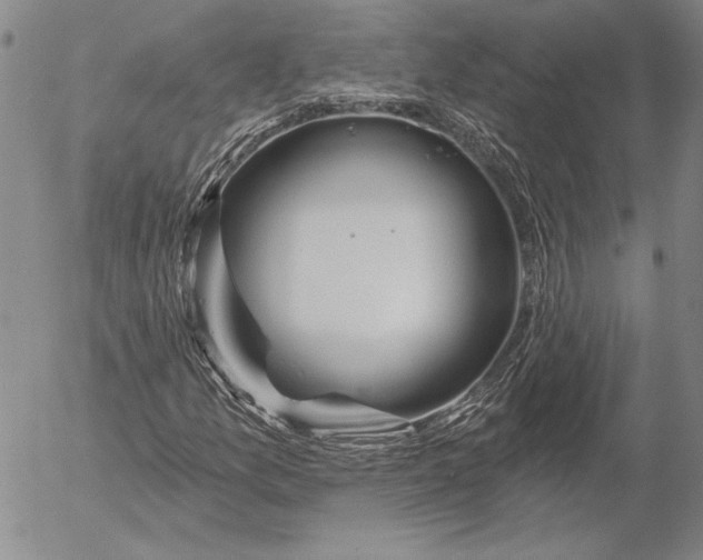 X0000053001157200507291635