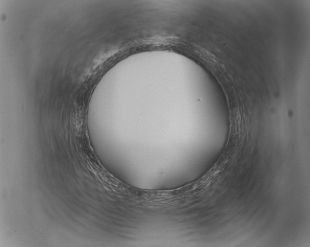 X0000053001158200507291635