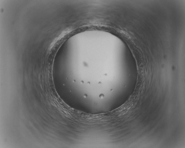 X0000053001159200507291635