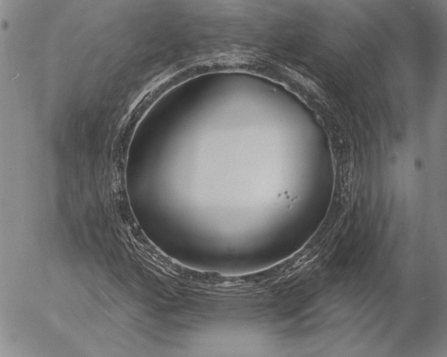 X0000053001160200507291635