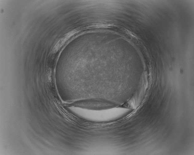 X0000053001161200507291635