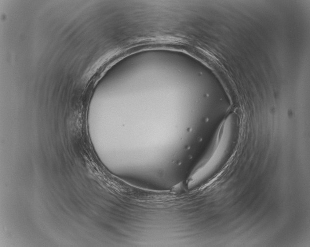 X0000053001163200507291635